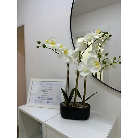 Salento Apartment